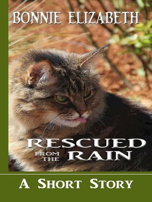 cover image of Rescued From the Rain